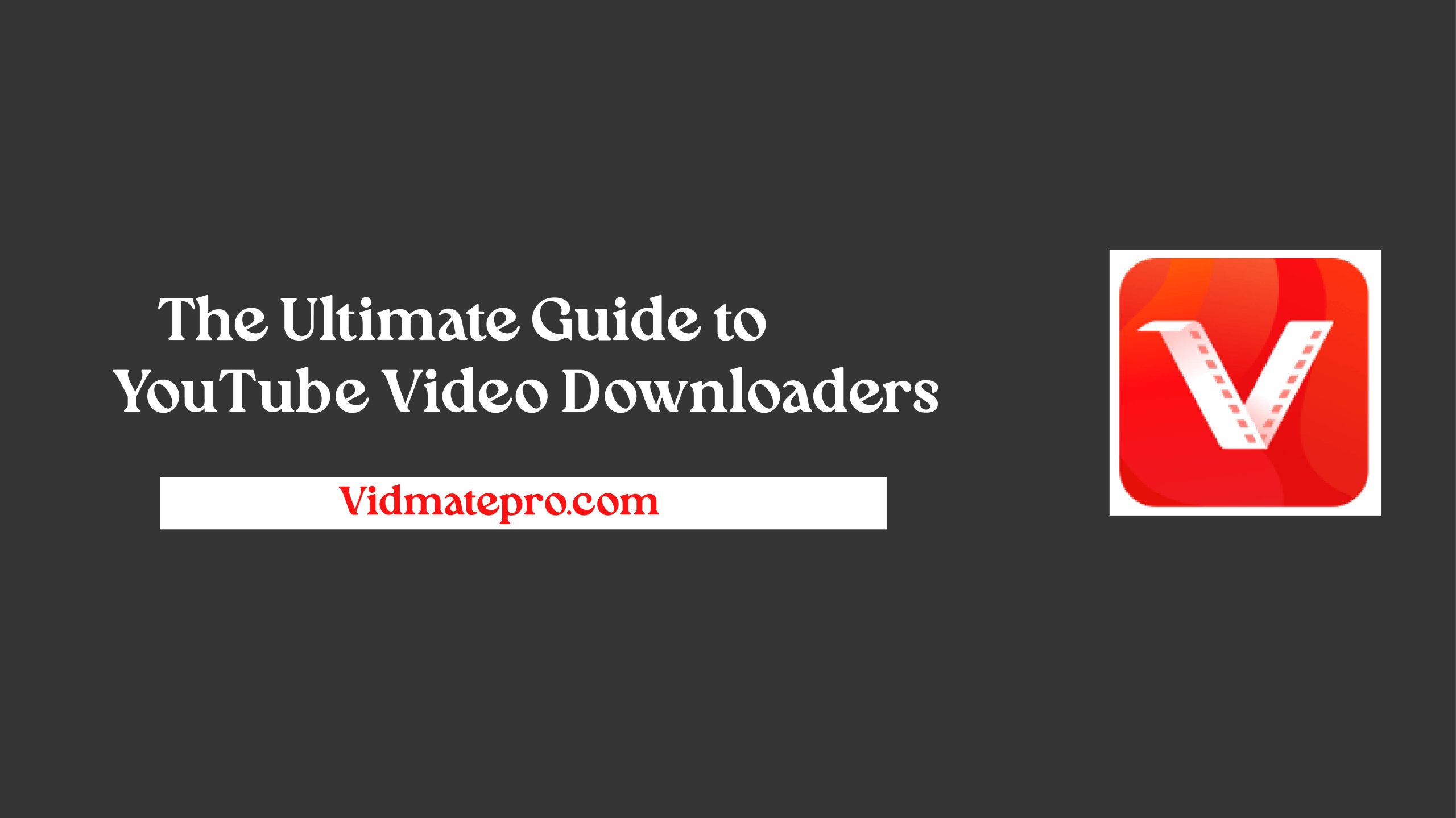 YouTube Video Downloaders