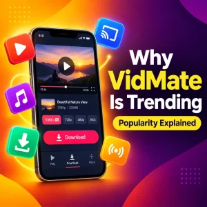 Why VidMate is So Popular Right Now